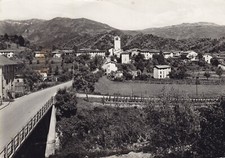 C.ill. nimis b.s. usato  Remanzacco