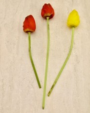 Usado, 3x Flores de tulipa de vidro soprado à mão antigas da década de 1930 Bimini comprar usado  Enviando para Brazil