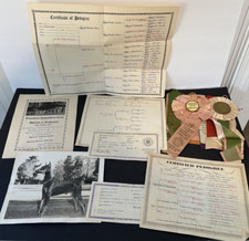 1950s akc dog for sale  Atascadero