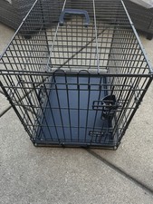 Medium small animal for sale  Berwyn