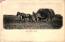 Postcard shire horses for sale Postcard shire horses for sale  NEWCASTLE