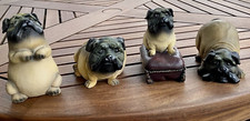 Set chinese pugs for sale  Simpsonville