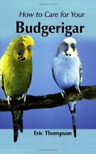 Care budgerigar eric for sale  UK