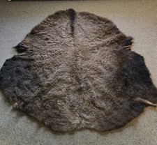 Buffalo bison hide for sale  Ithaca