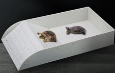 Vivarium tortoise cm for sale  NOTTINGHAM