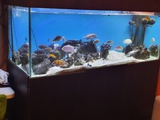 Aquarium stand sale for sale  SHEFFIELD