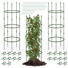 Pack garden tomato for sale  KETTERING