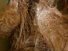 Millberry kupfer geschält gebraucht kaufen  Köthen