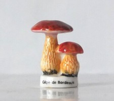 Feve champignons cèpe d'occasion  Aurillac