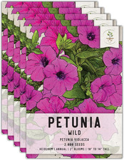 Wild petunia seeds for sale  Denver