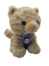 Poppy ginger cat for sale  FLEETWOOD
