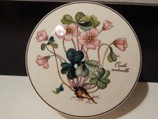 Vintage villeroy boch usato  Torre Canavese