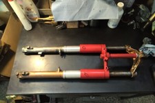 Ducati bevel single usato  Orsago