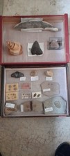 Collections, lots d'occasion  France