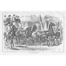 Carriage horses opening for sale  GLASGOW