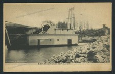 C1904 postcard bear for sale  Clinton