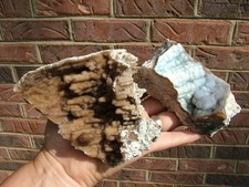 Agatized fossil coral for sale  Resaca