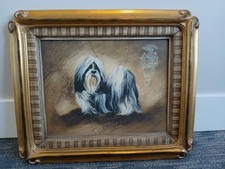 Shih tzu bombay for sale  Grand Haven