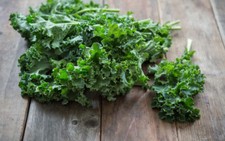 200 graines kale d'occasion  France