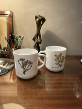 Duo tasses arcopal d'occasion  Gouvieux