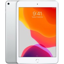 Ipad mini wifi usato  Ostra Vetere