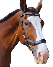 Equine balance anatomical for sale  SEAFORD