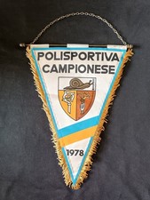 Gagliardetto pennant vigor usato  Italia