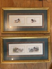 Pair vintage prints for sale  PLYMOUTH
