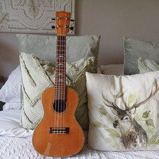 Beautiful kala concert for sale  NEWRY