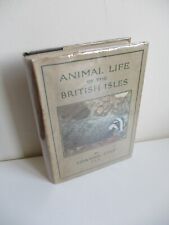 1939 animal life for sale  HOLT