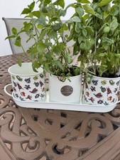Flowers pots indoor for sale  Franklin Square