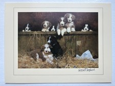 Artist david shepherd for sale  Omaha