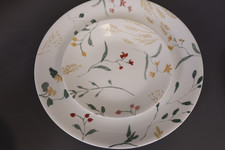 Corelle vitrelle piece for sale  USA
