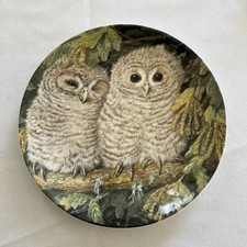 Wedgwood tawny owl for sale  TIDWORTH