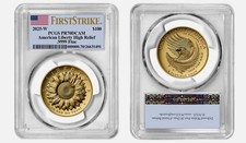 2025 high relief for sale  USA