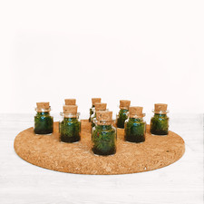 Tiny moss terrarium for sale  OLDHAM