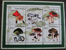 Guine bissau mushroom gebraucht kaufen  Aue