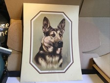 Print titled guardian for sale  ST. LEONARDS-ON-SEA