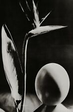 1930 man ray for sale  Tampa