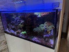 Hochwertiges meerwasseraquariu gebraucht kaufen Hochwertiges meerwasseraquariu gebraucht kaufen  Köln