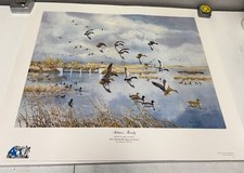 Ducks unlimited 40th for sale  Tecumseh