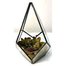 Geometric glass terrarium for sale  Deerfield