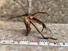 Aquarium teich wurzel gebraucht kaufen  Ahnsbeck
