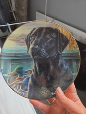 Limited edition porcelain for sale  BRISTOL