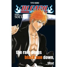 Bleach data book d'occasion  Lyon VII