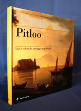 Pitloo luci colori usato  Torino