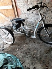 Adults electric assist for sale  KETTERING