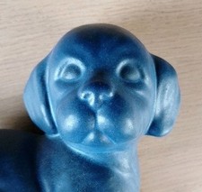 Niedlicher junger hund gebraucht kaufen  Hamburg