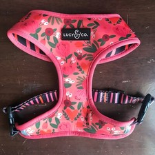 Lucy reversible dog for sale  Newark