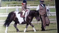 Pretty ponies lead for sale  WOLVERHAMPTON